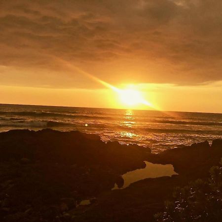 Unwind On Your Fantasy Hawaiian Vacation- 1Bd/1Ba Condo In Kailua-Kona, Hawaii Ngoại thất bức ảnh
