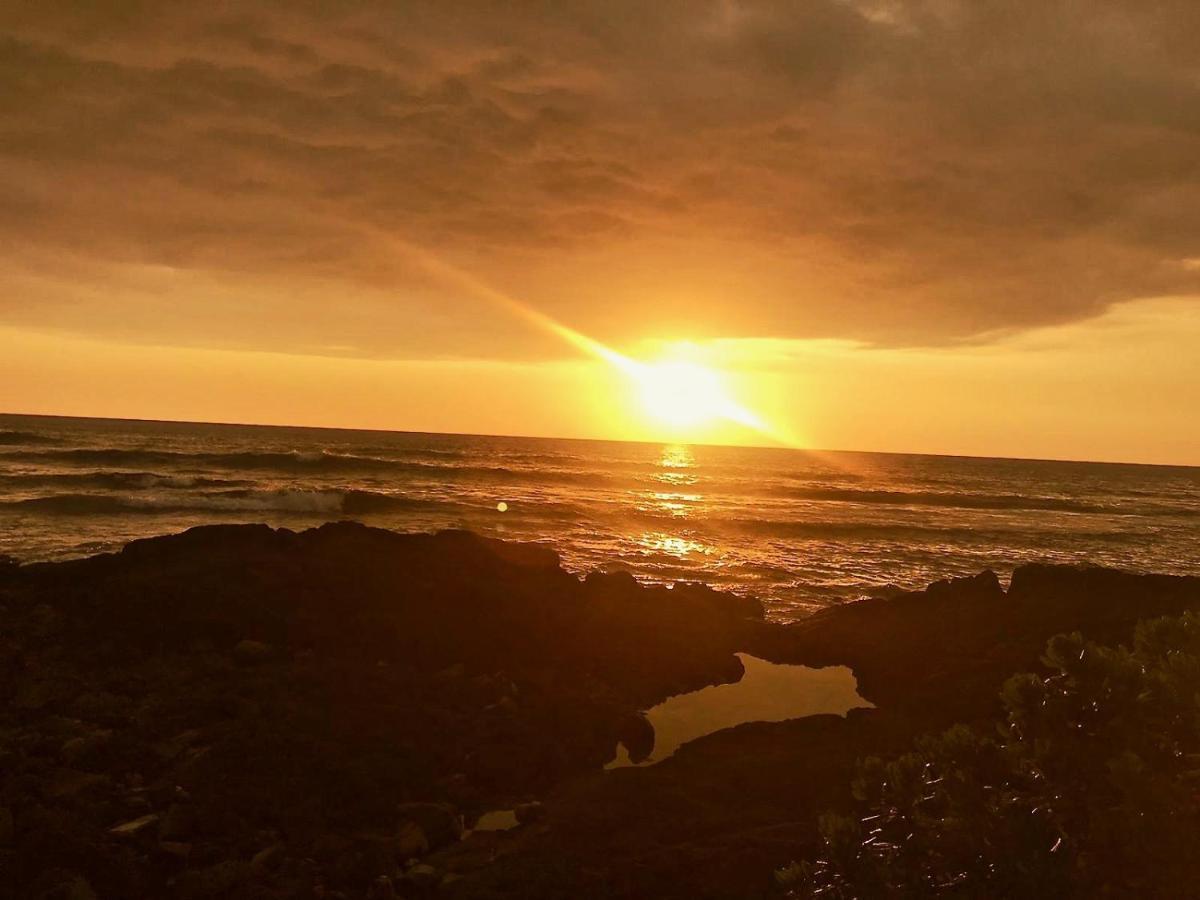 Unwind On Your Fantasy Hawaiian Vacation- 1Bd/1Ba Condo In Kailua-Kona, Hawaii Ngoại thất bức ảnh
