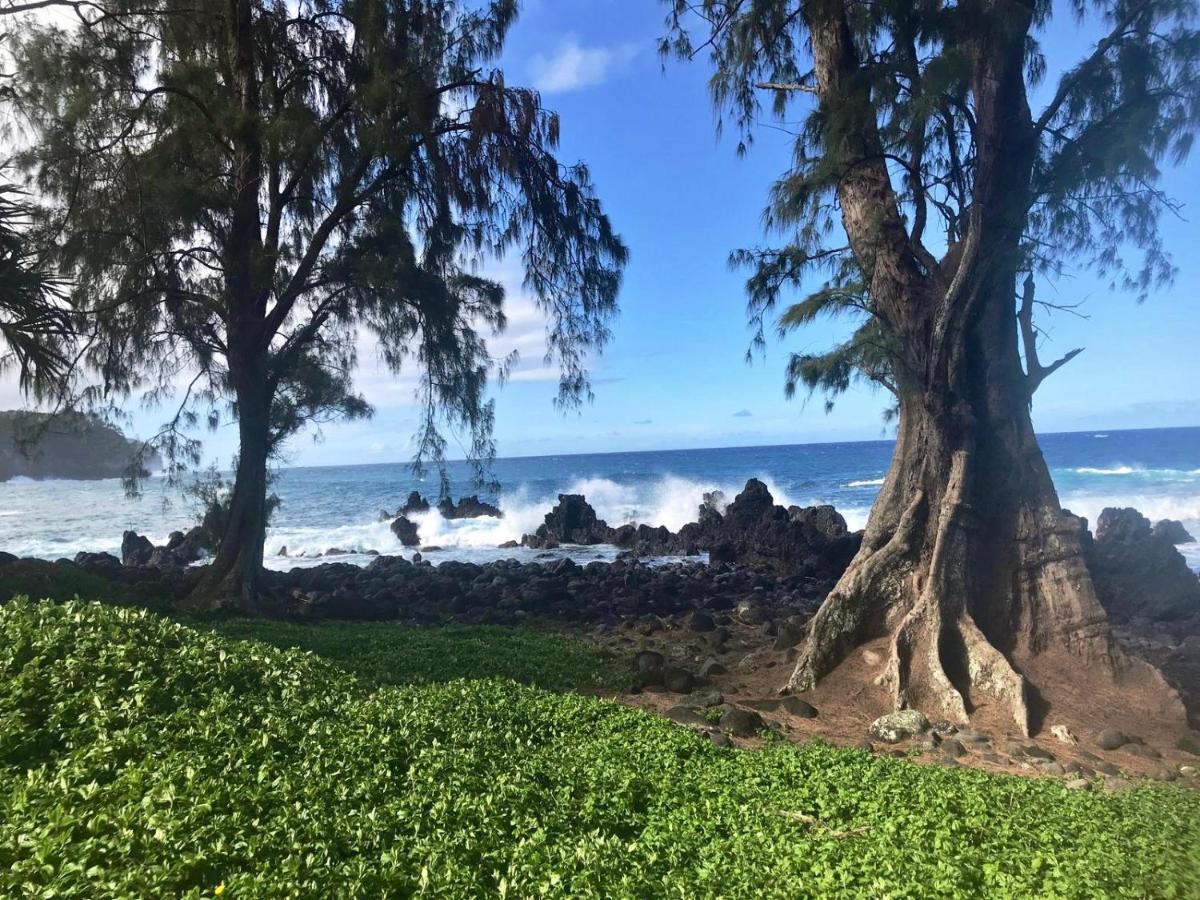 Unwind On Your Fantasy Hawaiian Vacation- 1Bd/1Ba Condo In Kailua-Kona, Hawaii Ngoại thất bức ảnh