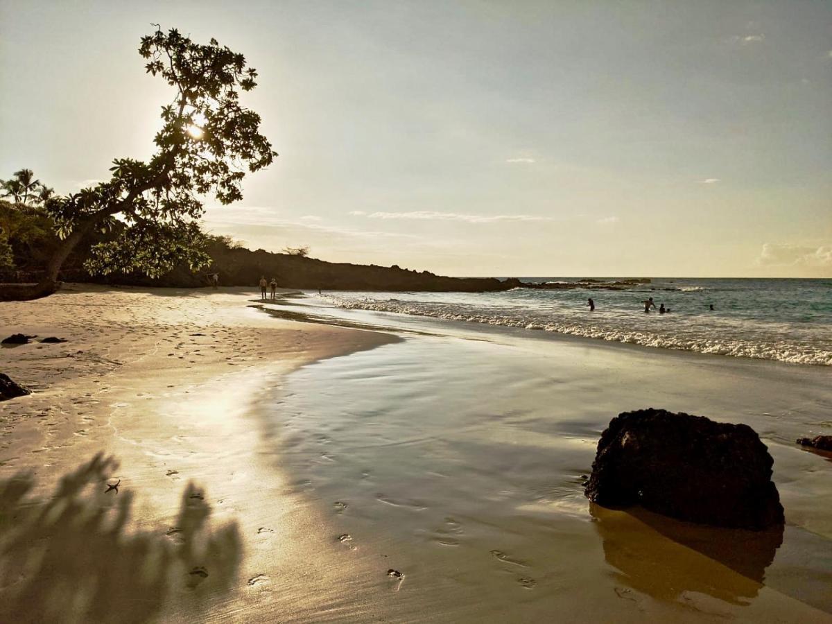 Unwind On Your Fantasy Hawaiian Vacation- 1Bd/1Ba Condo In Kailua-Kona, Hawaii Ngoại thất bức ảnh
